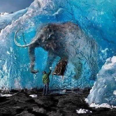 AJolines's tweet photo. Miles de años bajo el hielo

En el año 2010, tras el fuerte deshielo sufrido en algunas zonas de Siberia, Rusia, se descubrió una preciosa cría de mamut lanudo de una tonelada de peso. Después de 39.000 años en el hielo, la cría se encontraba en perfecto estado de conservación y https://t.co/9yKrjwThxW