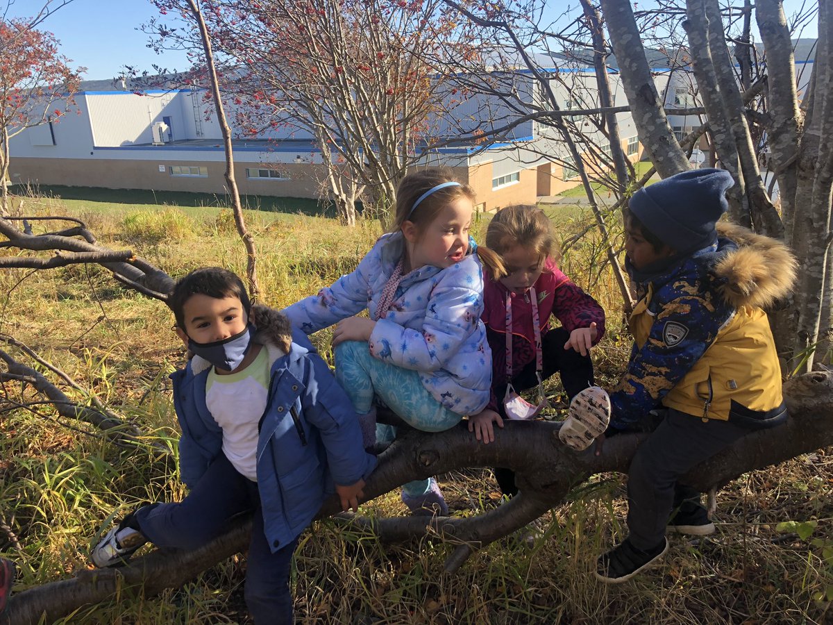 mrsjhayward's tweet photo. Tree climbers and bus riders were in our forest yesterday! #beautifulnovember #outdoorfun #Kindergarten #friends @StTeresasSchoo1 https://t.co/Xmemc2Z3oC