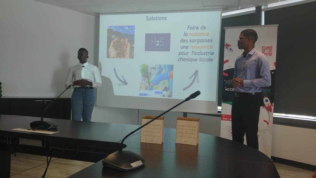 Martinique Digitale tweet media