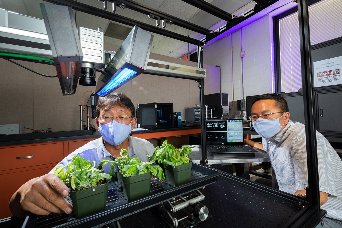 USDA_ARS's tweet photo. Researchers @USDA_ARS and @NASA are developing a hi-tech imaging system called hyperspectral imagery, so astronauts can monitor the fresh foods they will farm on extended space voyages. Read about this new & innovative machine vision technology https://t.co/rEUZaPj8Yx #AgInSpace https://t.co/MUZMCDvCKm