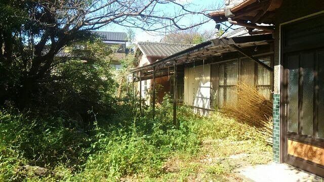 森を住みかに