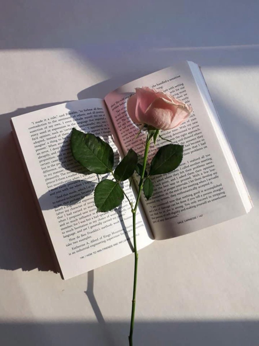jvkx08's tweet photo. You’re beautiful with your amazing stories https://t.co/anHfD4FSfO