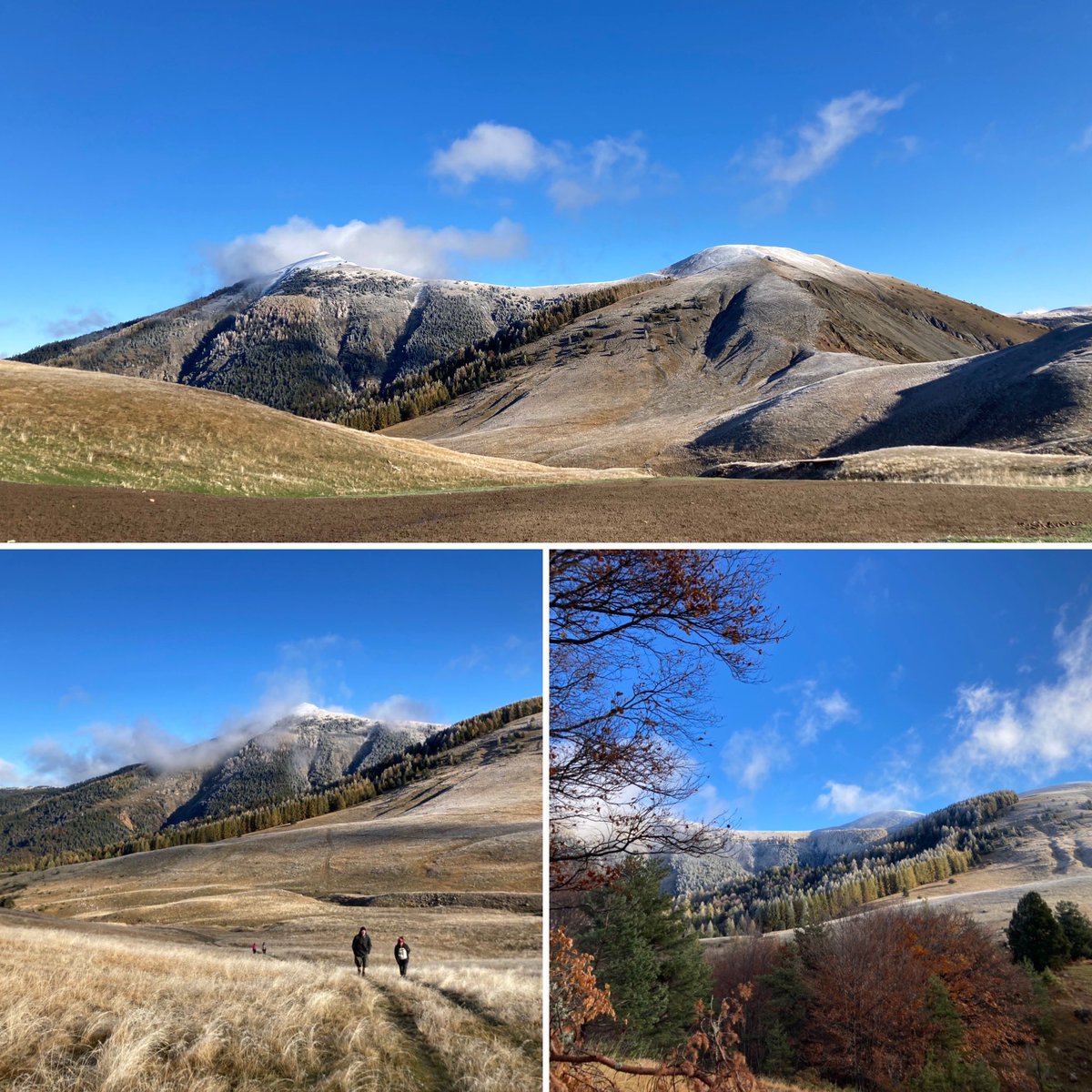 JeuneVitalite's tweet photo. Magnifique randonnée dans les Monges ce matin !
#jeûnevitalité #jeûneetrandonnée #jeûne #bienêtre #monges #alpesdehauteprovence https://t.co/sMyBC2g1hC