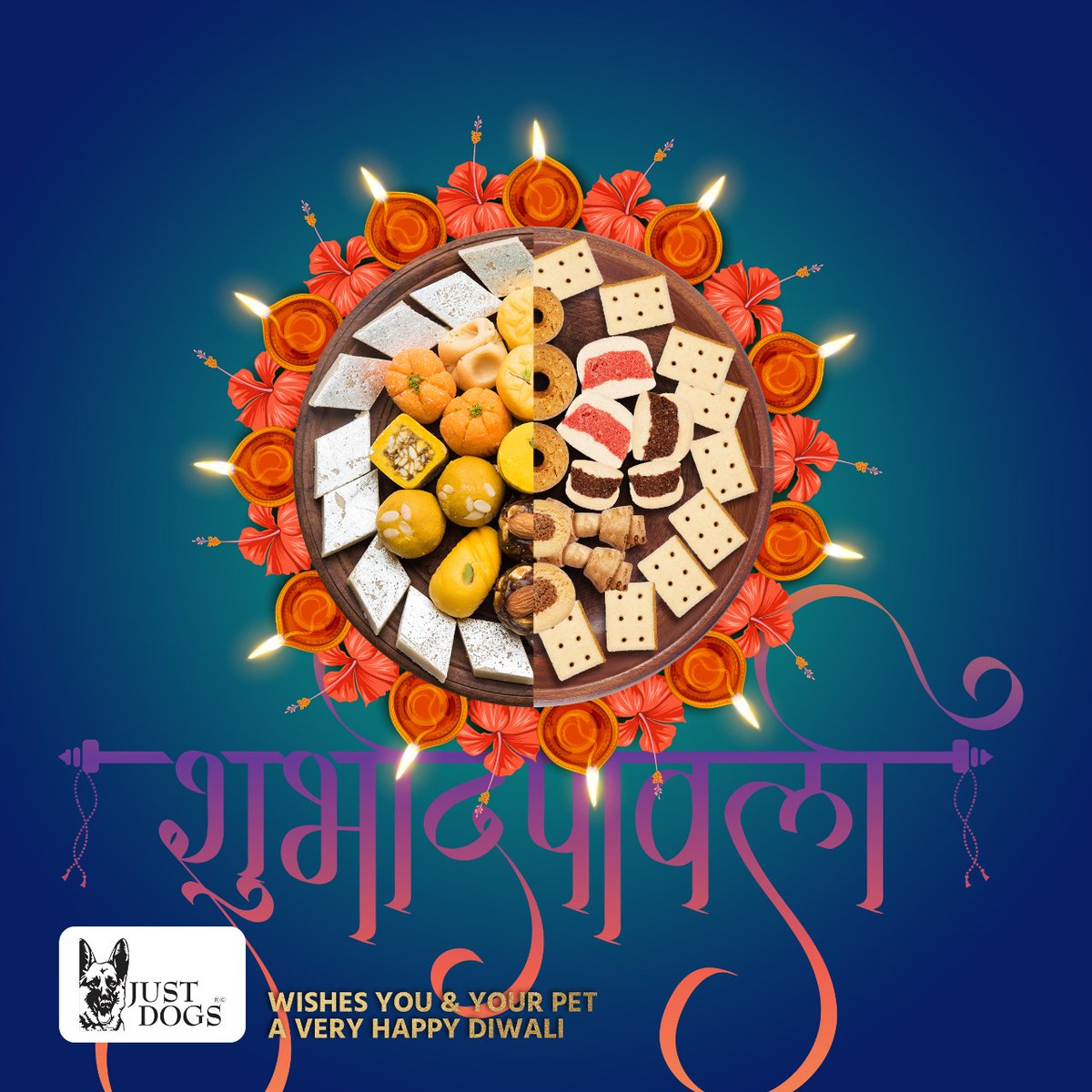 justdogsindia's tweet image. Happy Diwali to every pet parents and soon to be pet parents
#happydiwali2021 #JUSTDOGS