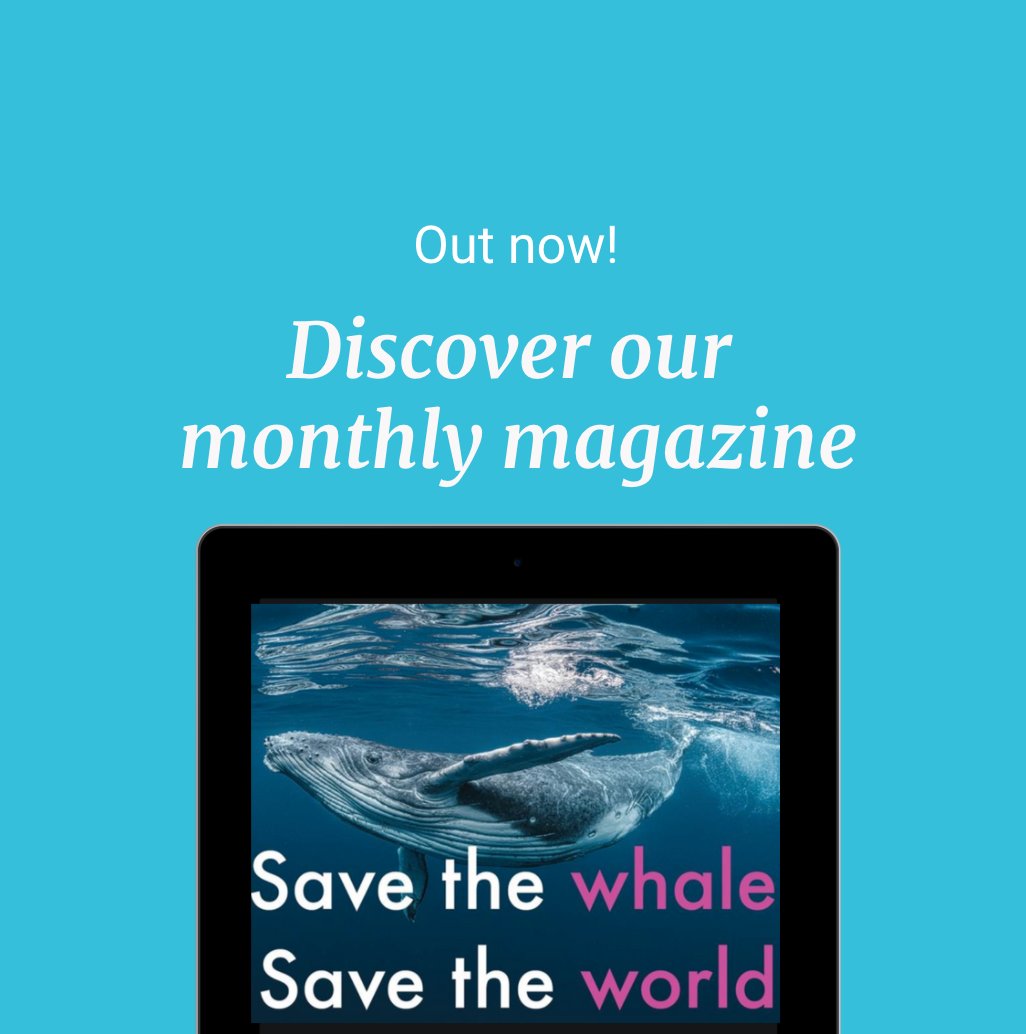 liveworkstudio (@liveworkstudio) on Twitter photo Discover this month's magazine:
✅ How whales can be crucial in the fight against #globalwarming
✅ The #COVID customer
✅ Service design for #health & wellbeing
✅Lots of new #career opportunities
➡️ mailchi.mp/liveworkstudio…
#cop26 <a href="/roscamabbing/">Erik Roscam Abbing</a> #savethewhalesavetheworld Discover this month's magazine:
✅ How whales can be crucial in the fight against #globalwarming
✅ The #COVID customer
✅ Service design for #health & wellbeing
✅Lots of new #career opportunities
➡️ mailchi.mp/liveworkstudio…
#cop26 <a href="/roscamabbing/">Erik Roscam Abbing</a> #savethewhalesavetheworld