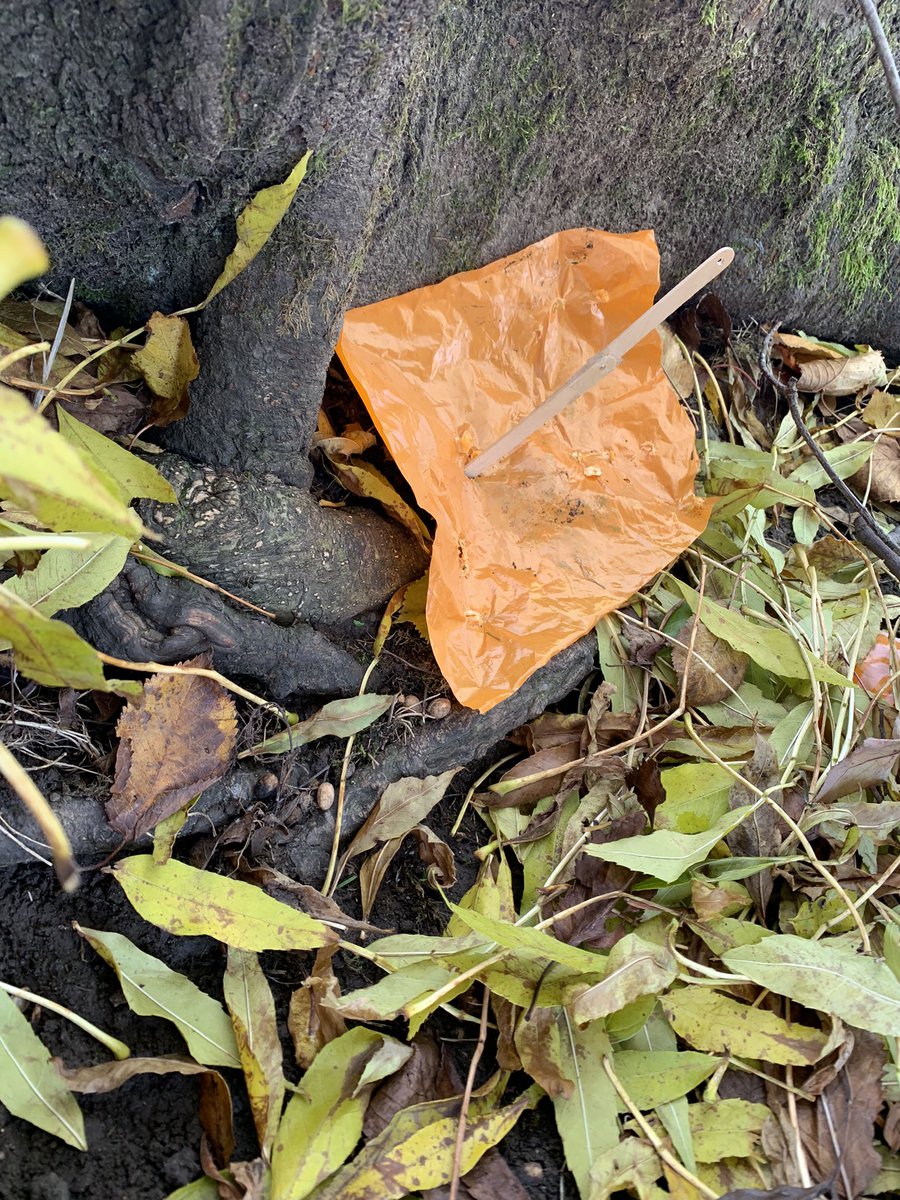 bannps's tweet photo. P4W were making miniature dens with Mrs Morrison as part of #OutdoorClassroomDay .  They could only use the materials around them to keep their Lego character dry! https://t.co/R6kxzbVGbf