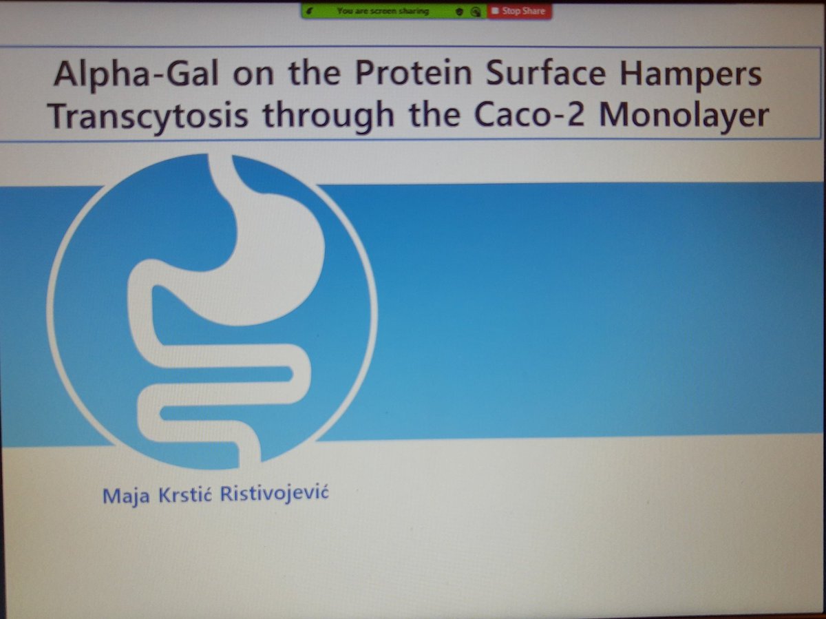 FoodEnTwin's tweet photo. Maja Krstic-Ristivojevic giving a talk on transcytosis of alfa'Gal proteins during @Foodentwin webinar. Collaboration with the Karolinska Institutet and @HemijskiFak_UB https://t.co/zFpE3eFEpH