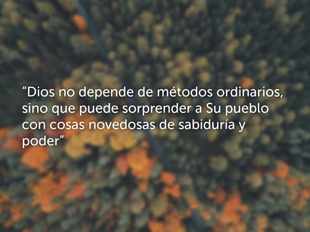 MIMIALALA's tweet photo. https://t.co/G11m1P9aiD