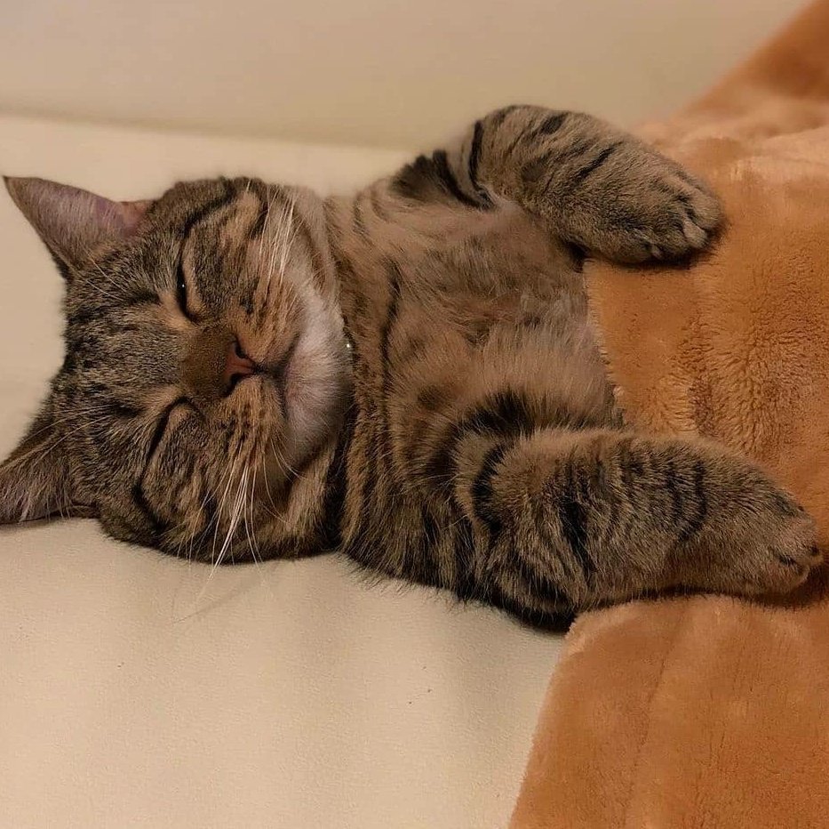 aestheticspost_'s tweet photo. Mood: https://t.co/UCrtKSMvQK