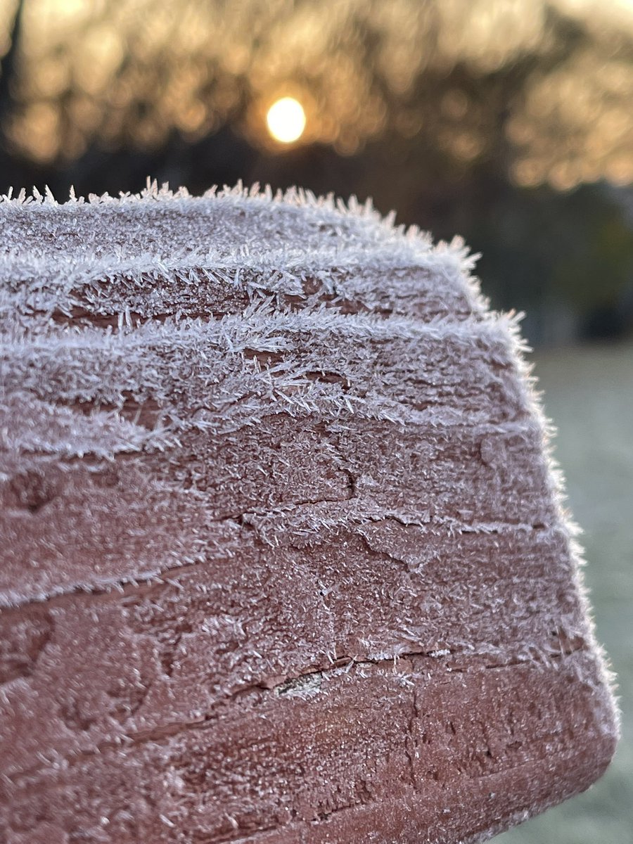 First hoarfrost of the season on a very chilly November morning in Minnesota.
#wx #mnwx #weather #Minnesota #hoarfrost https://t.co/GIIEzGIb7O