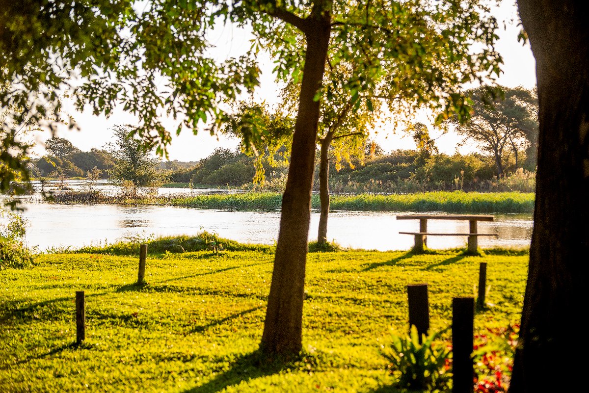 Safari camping on the banks of the Zambezi River takes camping to an entirely new level. Eight safari tents (sleeping four) with en-suite bathrooms provide comfortable Zambezi homes.

hubs.la/H0ZsKFs0

#gondwanalodges #travel #namibia