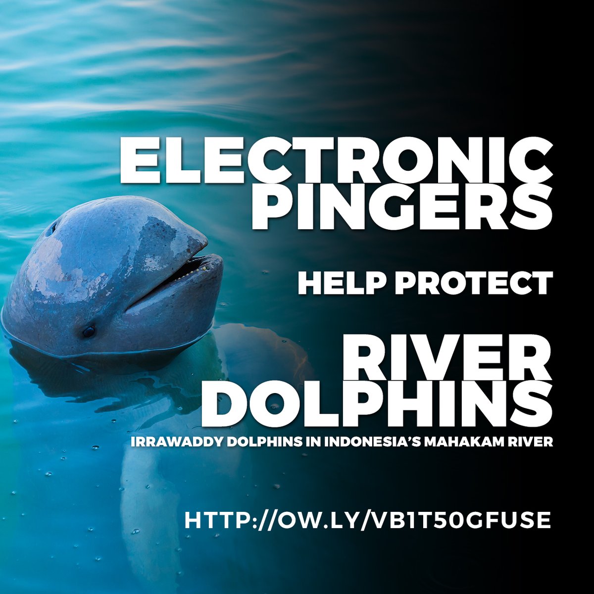 GEM Global Environment Media tweet media