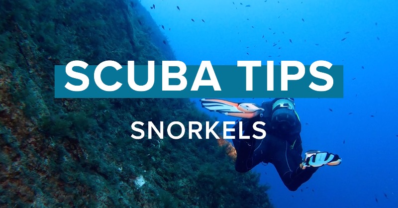 simplyscuba's tweet photo. In this episode of Scuba Tips Mark is going to talk about snorkels!

#scubatips #toptips #snorkels #snorkel #snorkeltips #scubadiving #scuba #diving #simplyscuba #newvideo #youtube
