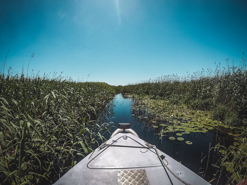 Ghereandthere's tweet photo. Danube Delta – Travel Destination in #Romania for Nature Lovers #travel https://t.co/Tdfe9mHtXa #danubedelta https://t.co/DGWuiG3oy6
