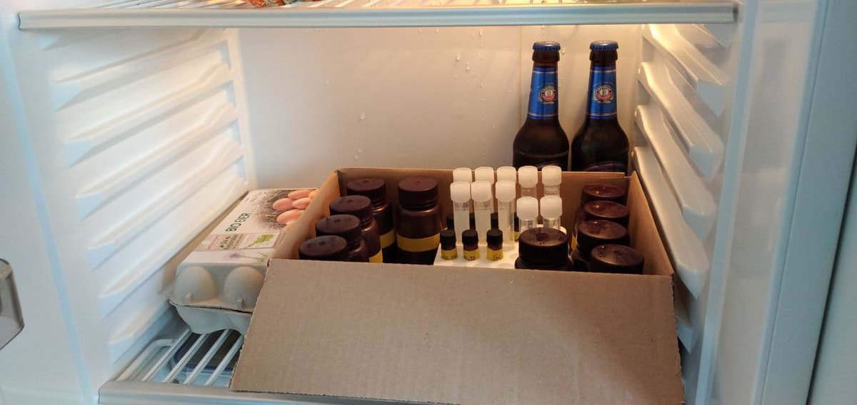 MEVorrath's tweet image. A common scientist&apos;s fridge at home... 😂
#LoveScience #ItWorksBitches #AllForScience #EggsAndBeer