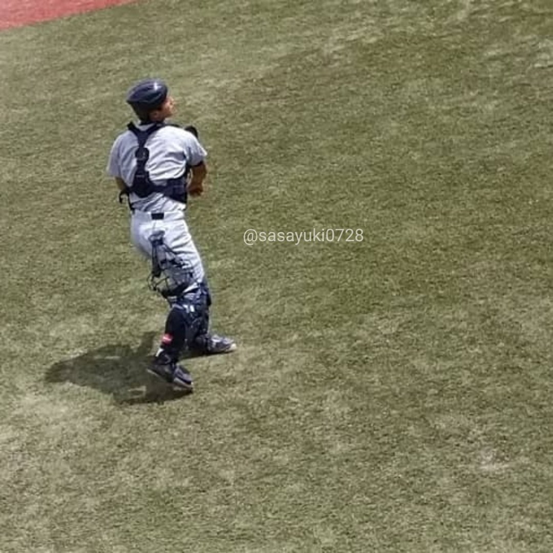 早稲田大学硬式野球部 Twitter Search Twitter