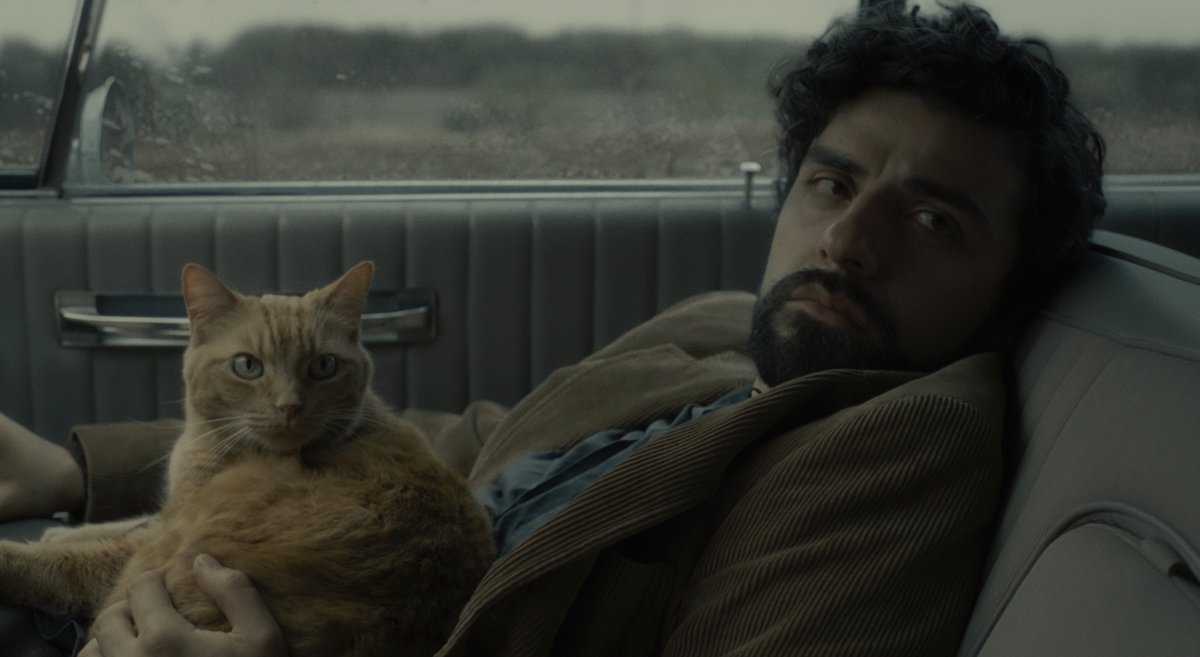 Good morning ☕ 🐈