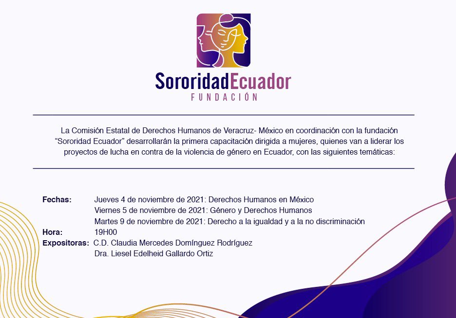 SororidadEc's tweet photo. Así iniciamos nuestro apasionante y arduo trabajo en favor de la vida, del amor, de las familias y de las mujeres que necesitan de nuestro apoyo. Gracias a la Comisión Estatal de Derechos Humanos de Veracruz- México. https://t.co/7x4MzBY8Xt