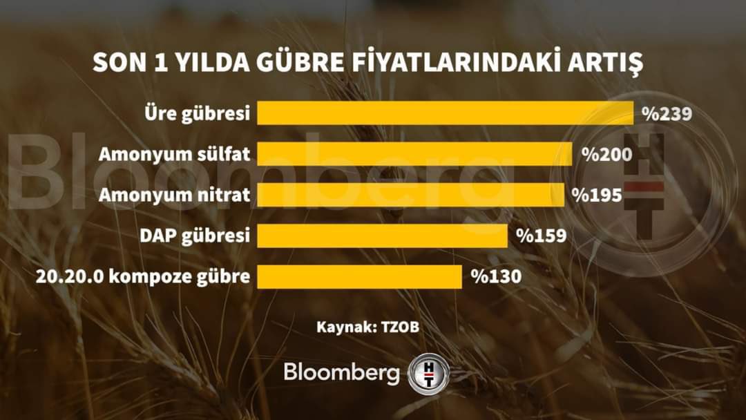 Ali İhsan Merdanoğlu tweet media