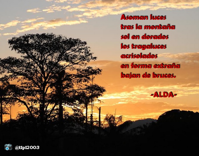 alda_pascuzzo's tweet photo. Asoman luces
tras la montaña
sol en dorados
los tragaluces
acrisolados
en forma extraña
bajan de bruces.
-ALDA-
📷 @tlpl2003
#LaVidaEnVersos #Concentrum (estructura propia) #04noviembre #Pentasílabos #SocioVersos #LYF15 https://t.co/BiB77sir7j