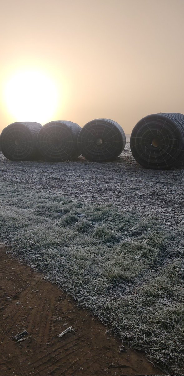 tiling_guy2012's tweet image. It's a bit frosty this morning   #tile2021
