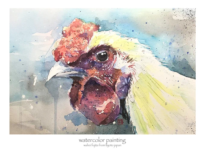 ニワトリではありません。烏骨鶏です。#Watercolor #スケッチ #水彩画 #淡彩略画 #生徒募集 #透明水彩 #京都水彩画塾  #水彩画ワークショップ  #水彩画教室  #京都の絵画教室 