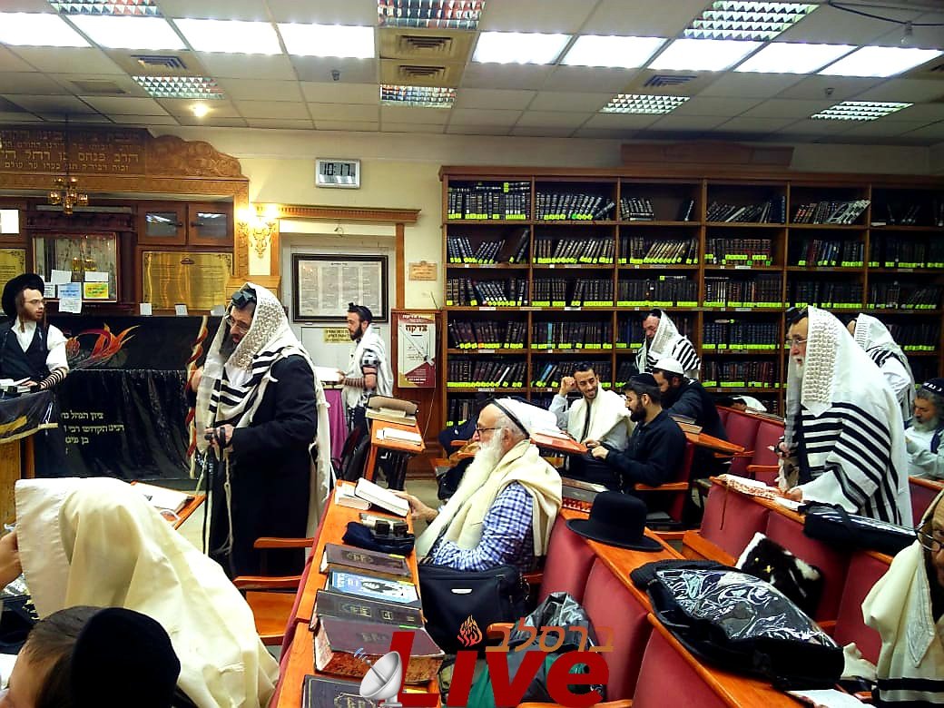 ברסלב live tweet media