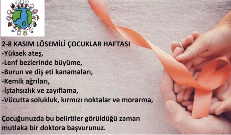 Beylikduzuism's tweet photo. https://t.co/mL6NgAhxct