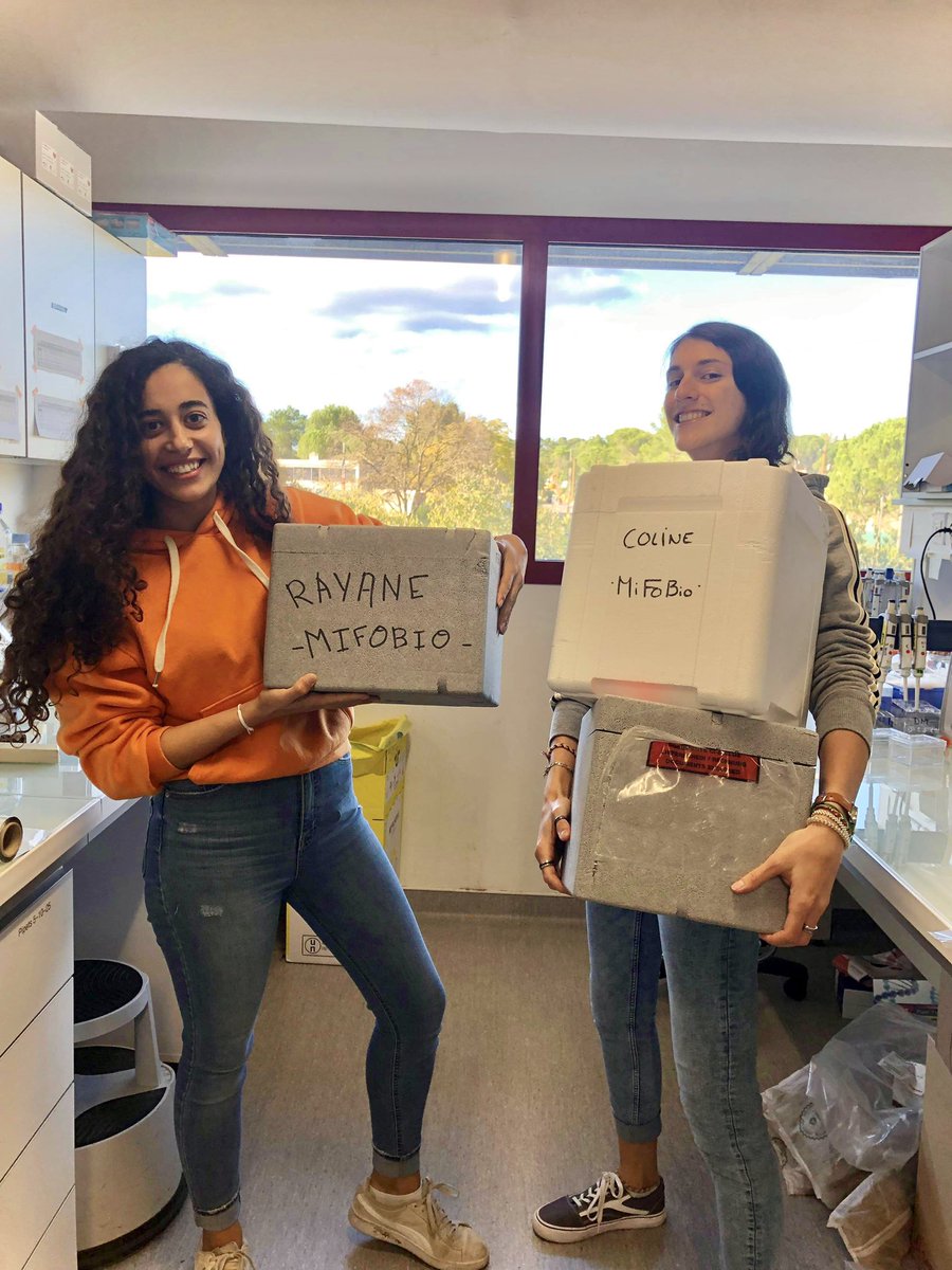 Workshop ✅ Poster ✅ Round-table ✅ all is ready for #MiFoBio2021 <a href="/GDR_ImaBio/">GDR ImaBio</a>  <a href="/VirAssemblyLab/">Membrane Domains and Viral Assembly Lab</a> <a href="/RayaneDibsy/">Rayane Dibsy</a> <a href="/AroneColine/">Coline Arone</a> <a href="/MuriauxD/">MURIAUX Delphine</a> see you guys tomorrow !!