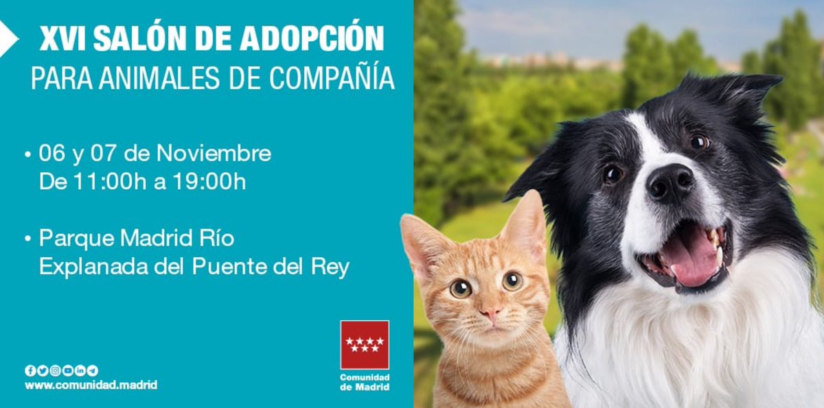 AdoptaCMadrid's tweet photo. 🐾 Este fin de semana, no te pierdas el XVI Salón de la Adopción para animales de compañía de la @ComunidadMadrid.

📍 Parque Madrid Río
⏰ De 11:00h a 19:00h

🐈🐕 Fomentamos la tenencia responsable y la adopción de muchos perros y gatos que viven en nuestros centros de acogida. https://t.co/qzuX73ZDaN