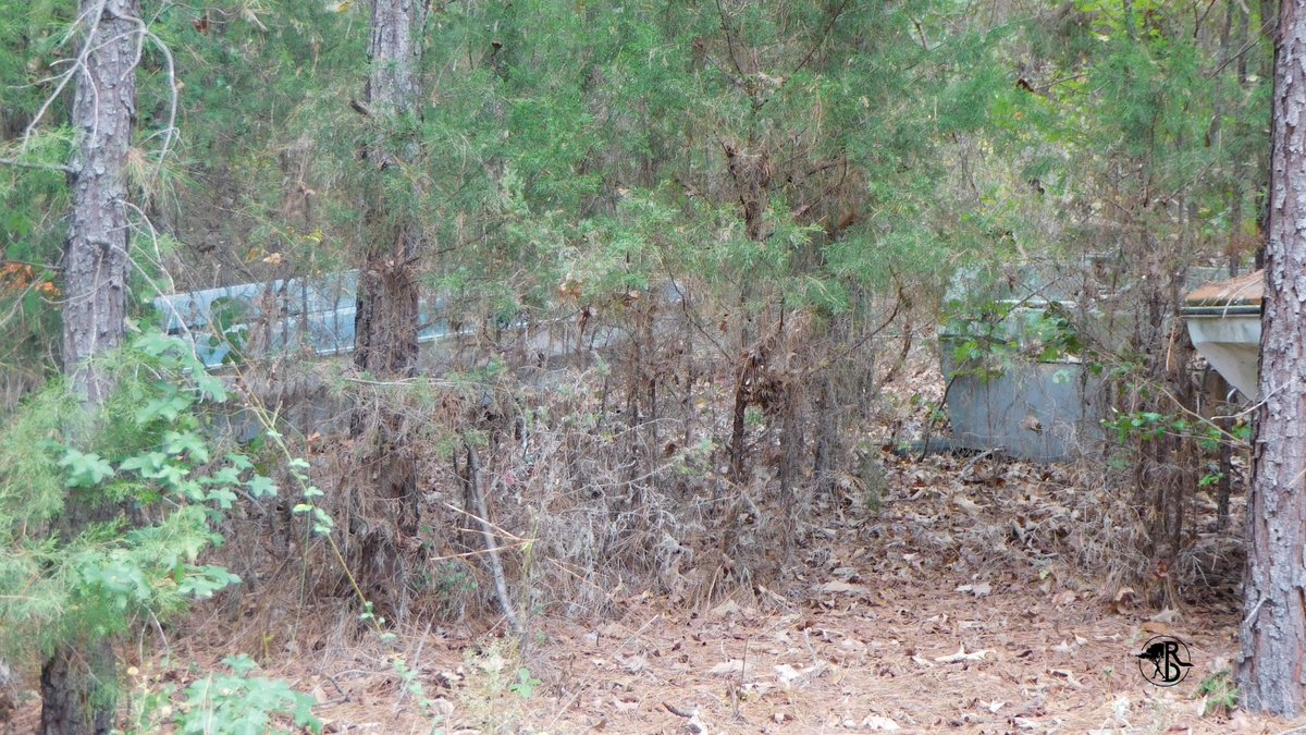 RootlessDestin1's tweet photo. In the abandoned house I posted yesterday, this is their backyard. A boat graveyard! If you blow up the second pic, there are 3 boats you can barely see.
#abandoned #abandoned_junkies #abandonedtown #abandonedplaces #subscribeonyoutube #rootlessdestinations https://t.co/9poHPZDjc7