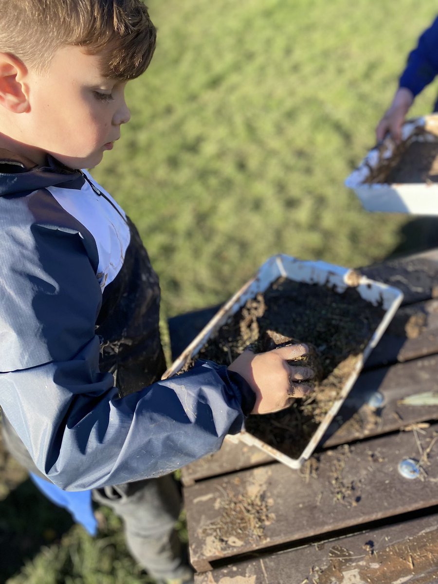 rhwsprimary's tweet photo. Lots of fun, lots of learning and creating new habitats at Porthkerry #biodiversity #topiclearning https://t.co/rpCfzjUSaH