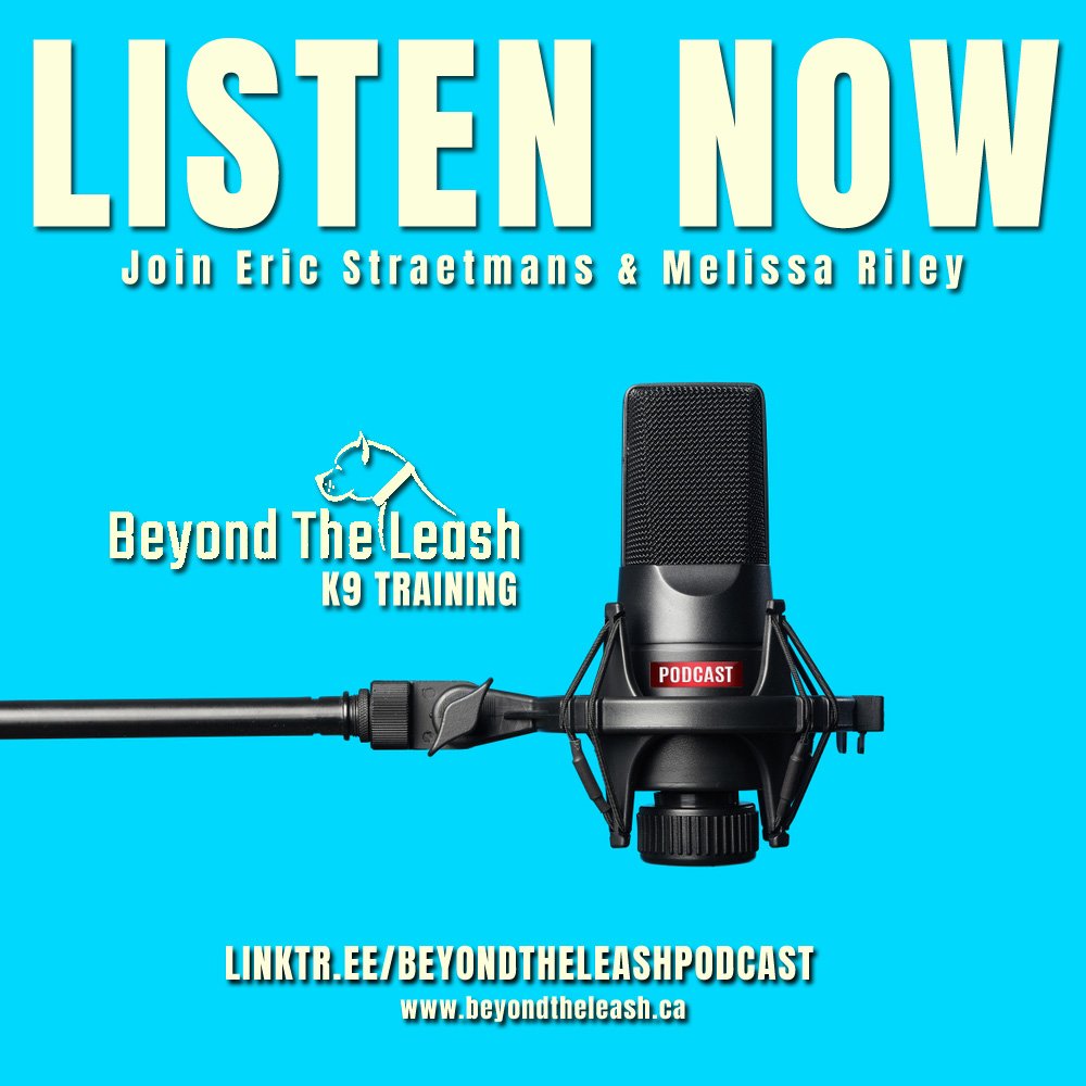 BeyondTheLeash's tweet photo. #BeyondTheLeashPodcast 
Eric Straetmans &amp; Melissa Riley
🎙🎧 Episode 4 "#TrainingCollars" ⬇️DOWNLOAD NOW⬇️
BE SURE TO SUBSCRIBE
https://t.co/0GG68peViK
#dogs 🐕 #dogsoftwitter #twitterdogs #k9training #dogtraining #doglovers #Podcast #doglife #dogs #puppy #dogpodcast #dogtrainer https://t.co/jZG3sR6vla
