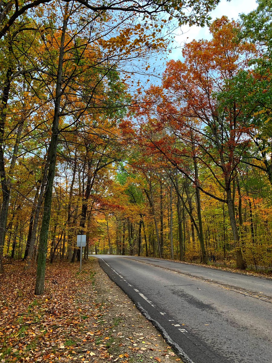 #Michigan #Fall 2021