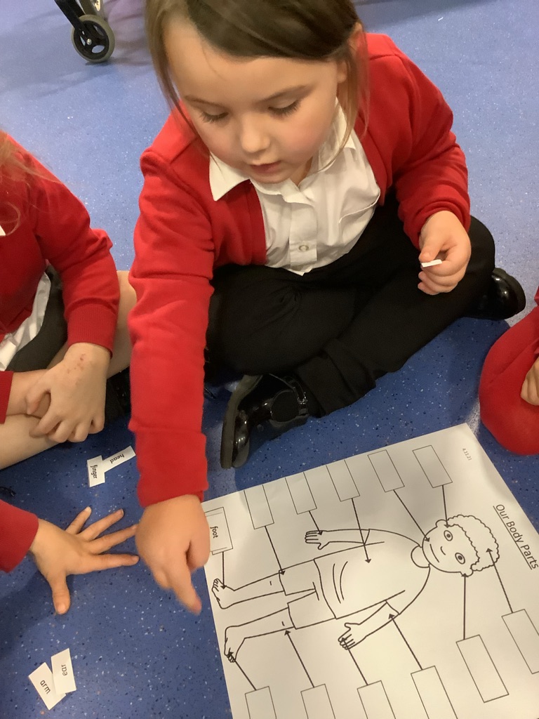 IPMATGroveLea's tweet image. Year 1 science topic this half term is ‘Our Bodies’. We started by practicing all together by labelling Miss Higgs and then moving on to do this independently in our task. #science #ourbodies