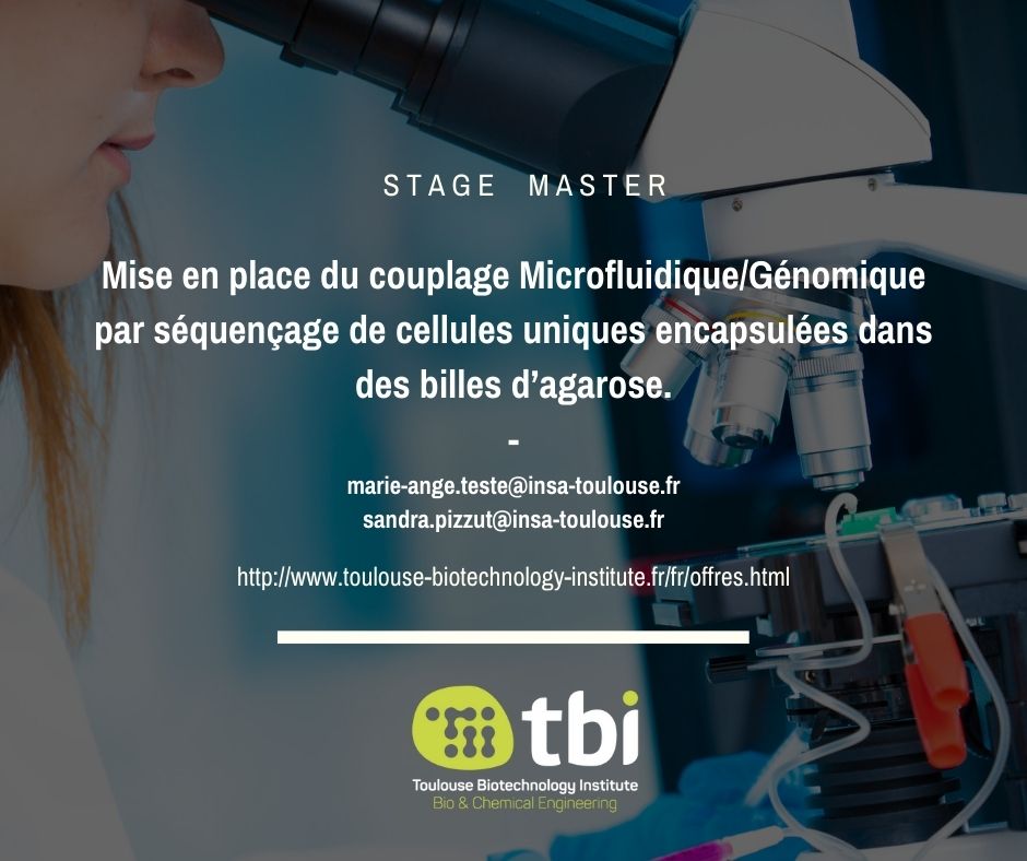 Offre de Stage - Mise en place du couplage Microfluidique/Génomique par séquençage de cellules uniques encapsulées dans des billes d’agarose
toulouse-biotechnology-institute.fr/fr/offres.html