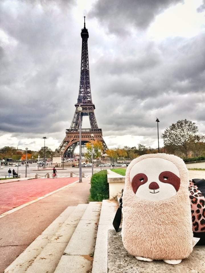 Dee6416's tweet photo. What can I say, Puto is living the life!
Paris is love ❤️ #TourEiffel  #NotreDamedeParis https://t.co/JLrTy1b07I
