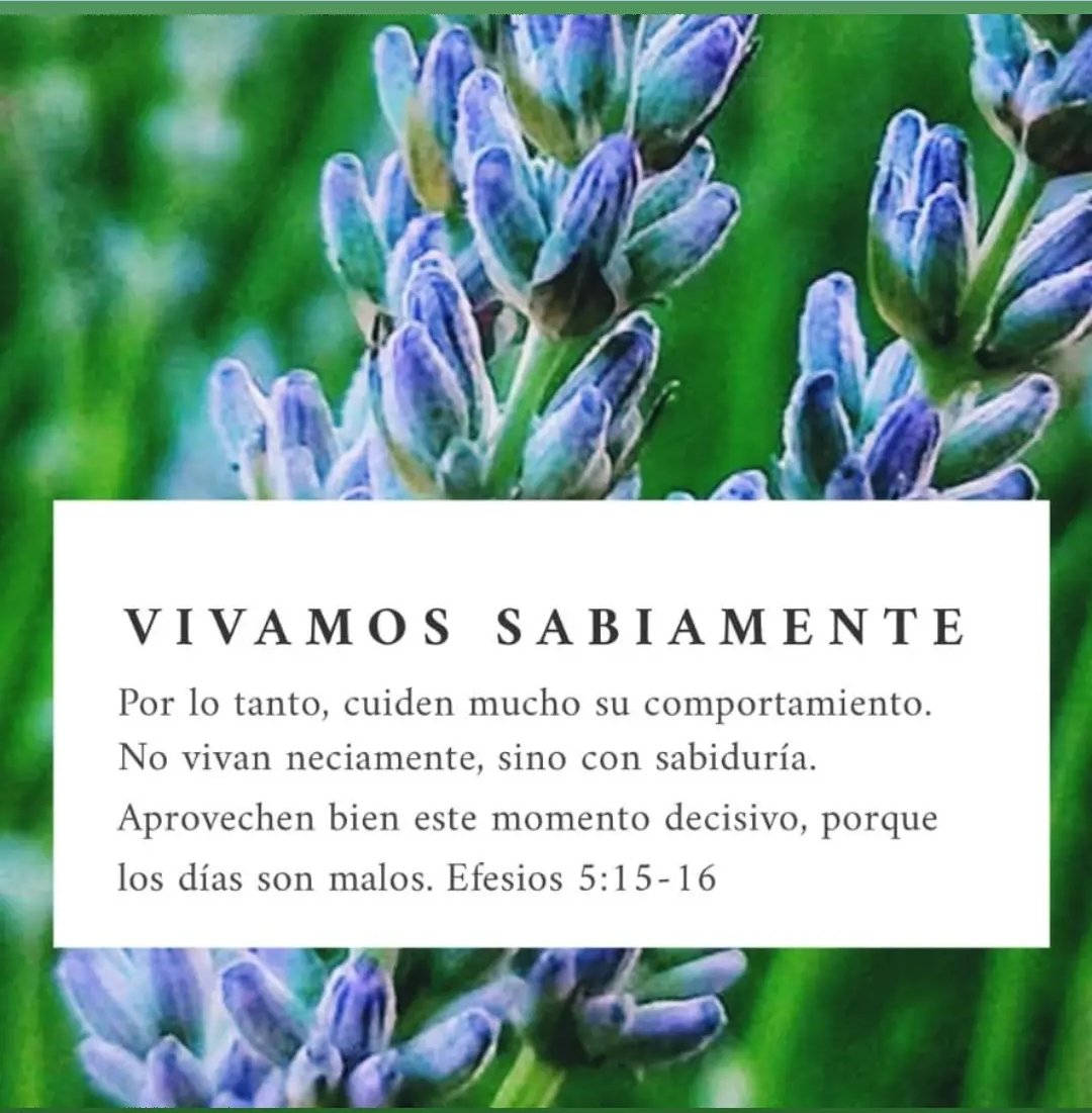 EdificaFamilias's tweet photo. 📌"Vivir sabiamente" 
Estamos en tiempos difíciles donde se han perdido muchos valores y las familias cada vez más distanciadas por muchas influencias de la sociedad. Hagamos pues un análisis de nuestro comportamiento y aprovechemos bien el tiempo en calidad ✨😊👨‍👩‍👦🙌🏻❤️ https://t.co/GQ0mYF39za
