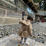 ましゅまろちゃんのツイート画像