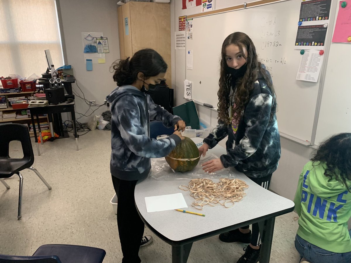 Marc Hodgkinson tweet media