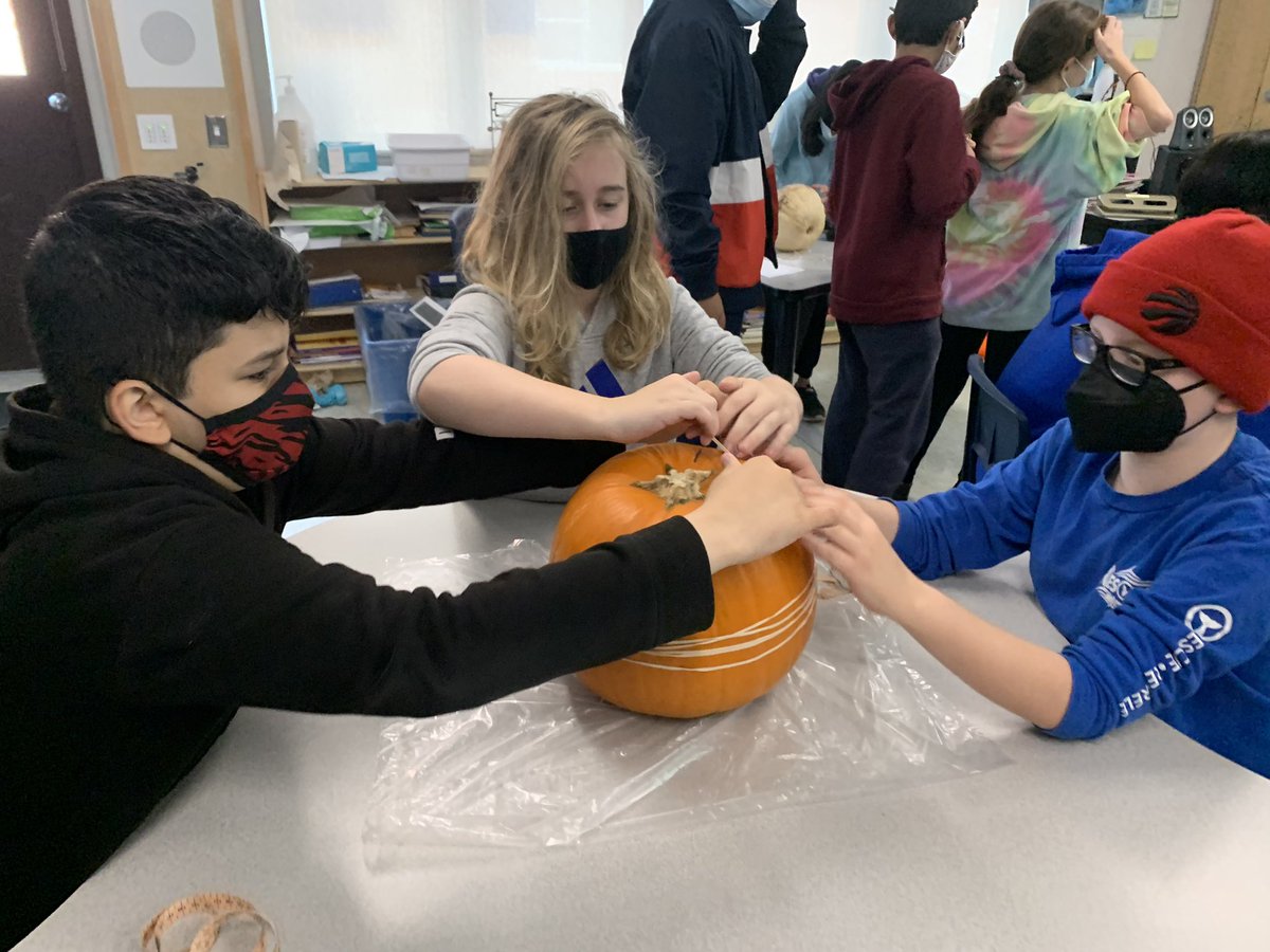 Marc Hodgkinson tweet media