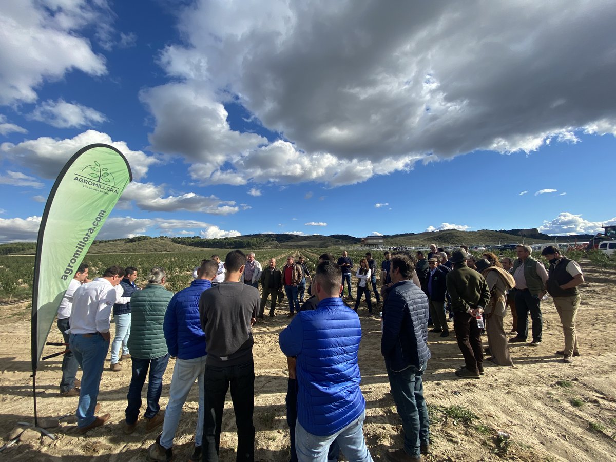 Agromillora_'s tweet photo. Empezamos la fase de demostración en campo ⚡️

🌱 Manejo, poda, suelo todo lo necesario para realizar una plantación exitosa

#Almendro #Leñosos #Olivo #Pistacho #Viña https://t.co/ZnHfFz9m5B