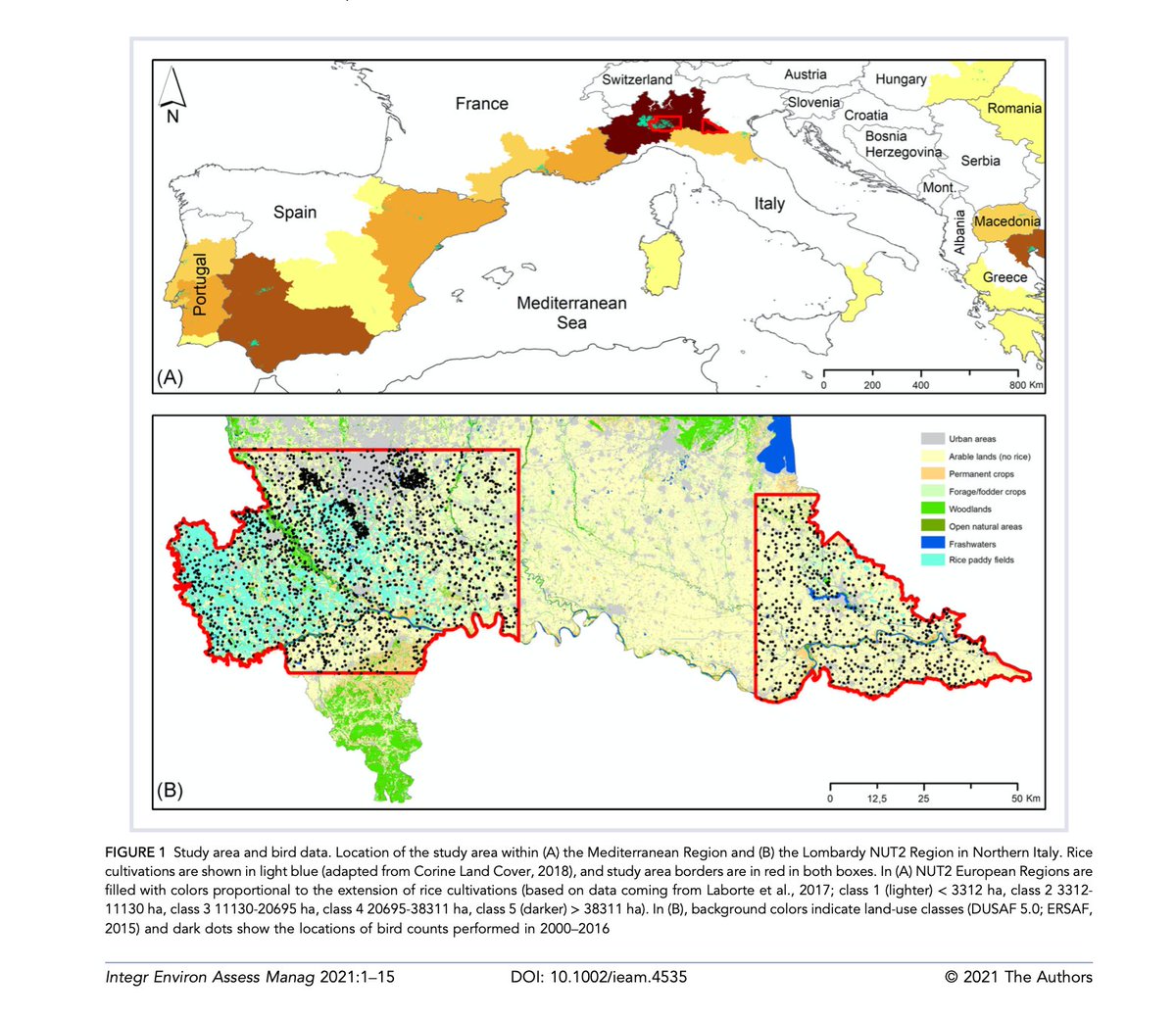 New contribution by our member Luciano Bani 'Quantitative selection of focal #birds and #mammals in higher‐tier risk assessment: An application to rice cultivations'. researchgate.net/publication/35… #biodiversity #conservation #cultivations #rice #modelling