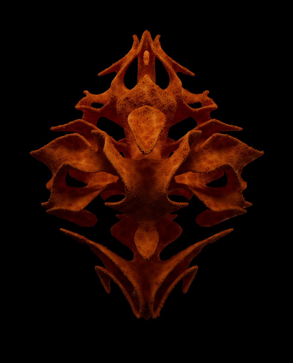 SolutionsNFT's tweet photo. THE REVEAL @SolutionsNFT - another has been uploaded to the gallery in our discord - seen anything like this before? #nftsolana #NFTCommunity #NFTGiveaway #NFTdrop https://t.co/6gACCxr9Pb