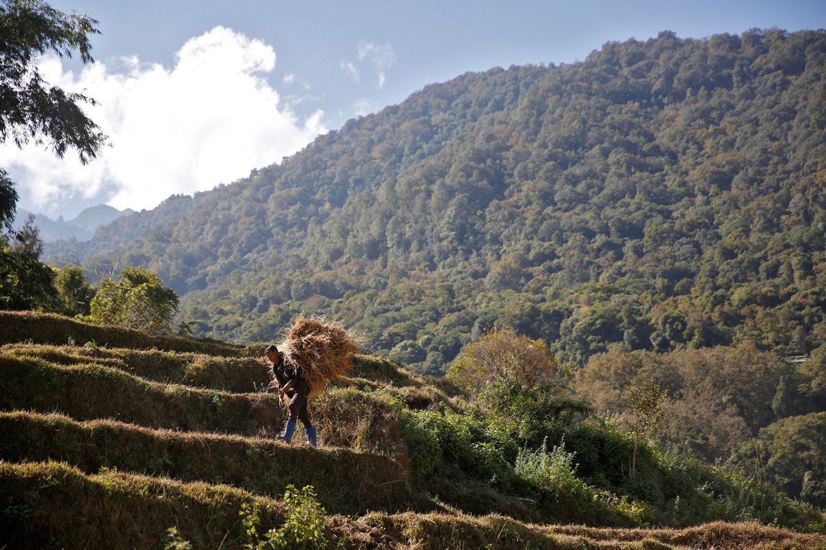 ContextClimate's tweet photo. ๐ง๐น Bhutan
๐ The country's carbon-negative journey started in the 1970s when its former king rejected plans to cut forests for farms and industry, says @LDCChairUNFCCC Sonam Wangdi.
๐ณ Instead, he pushed for an economy built in part on managing forests sustainably. https://t.co/XV6sUu7wPH