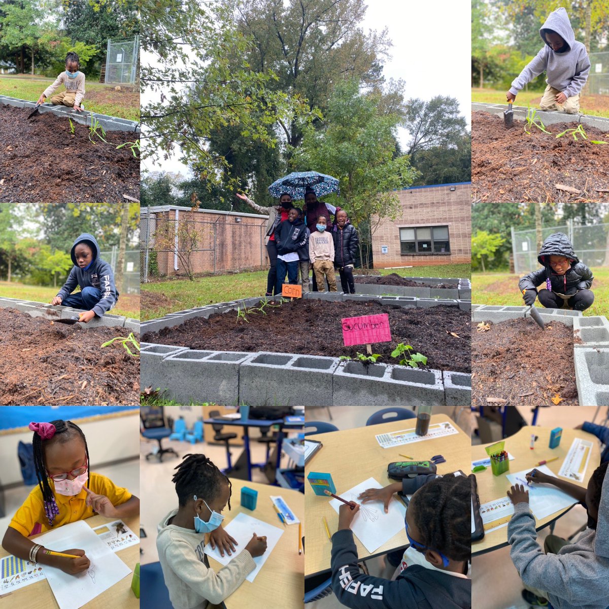 Today our little urban farmers replanted their plants into the garden they’ve been working on and started to draw up plans for our scarecrow to keep birds away.

#authenticrealworldtransfer #thetagway #thestcertifiedtagway #stem #urbanfarming #helpingourcommunity