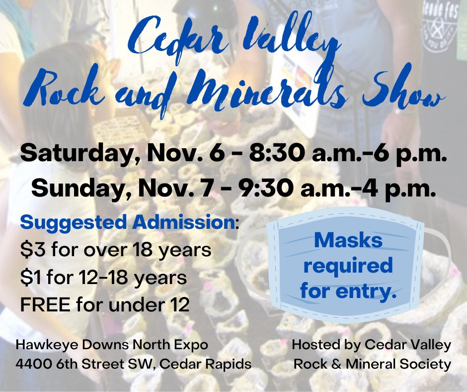 Hawkeye Downs tweet media