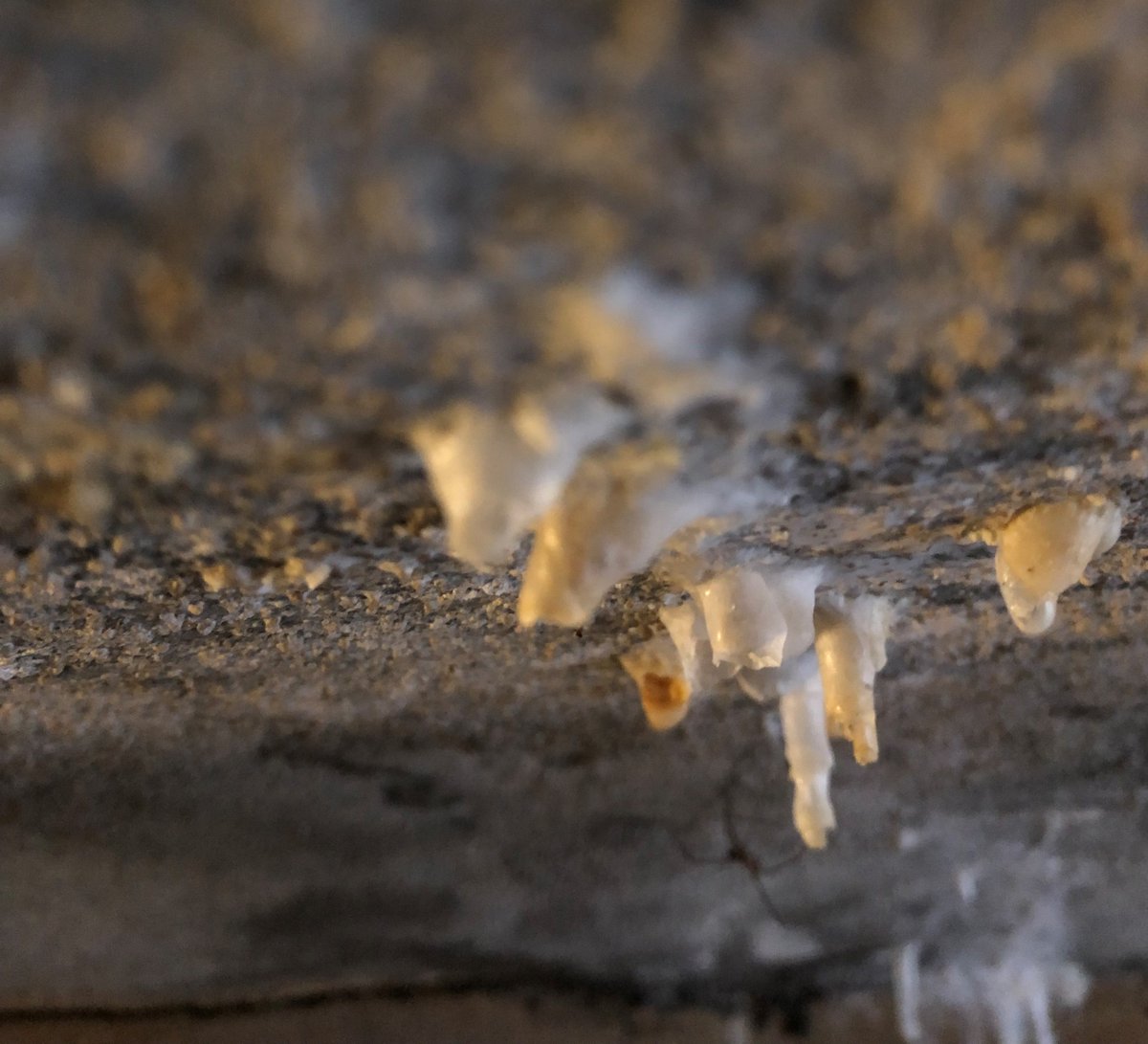 One of our Surveyors took this interesting photo in central #London today of Lime Stalactites forming on failed #waterproof rendering done by others in the past
#experts since 1972