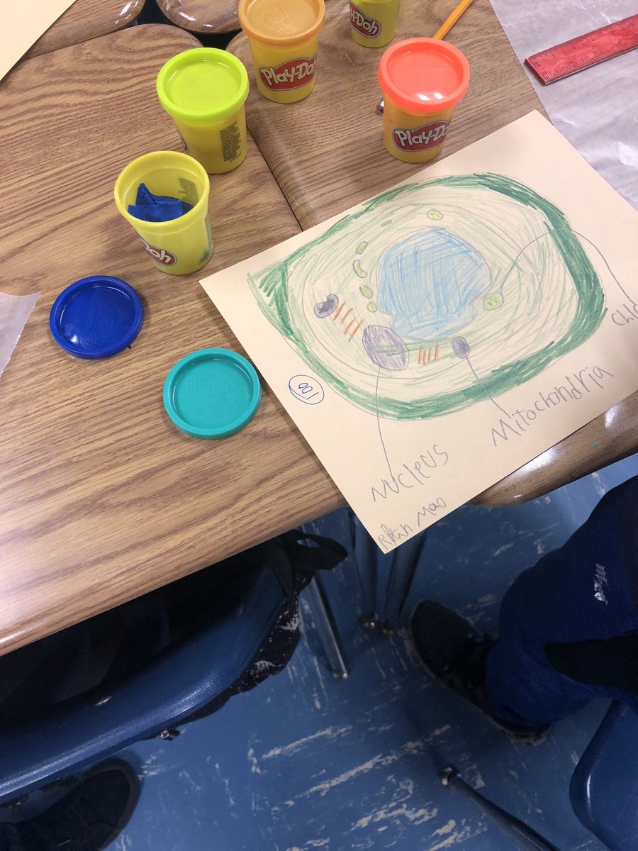 pattiparis2's tweet image. Mr. Greene’s 5th grade students were totally engaged in Science today!  #FindingtheBalance #TotallyEngaged  #NoTechNeeded #ExpectEngagementHCS