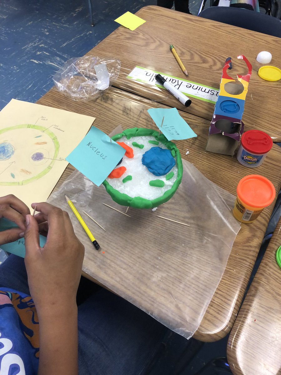 pattiparis2's tweet image. Mr. Greene’s 5th grade students were totally engaged in Science today!  #FindingtheBalance #TotallyEngaged  #NoTechNeeded #ExpectEngagementHCS